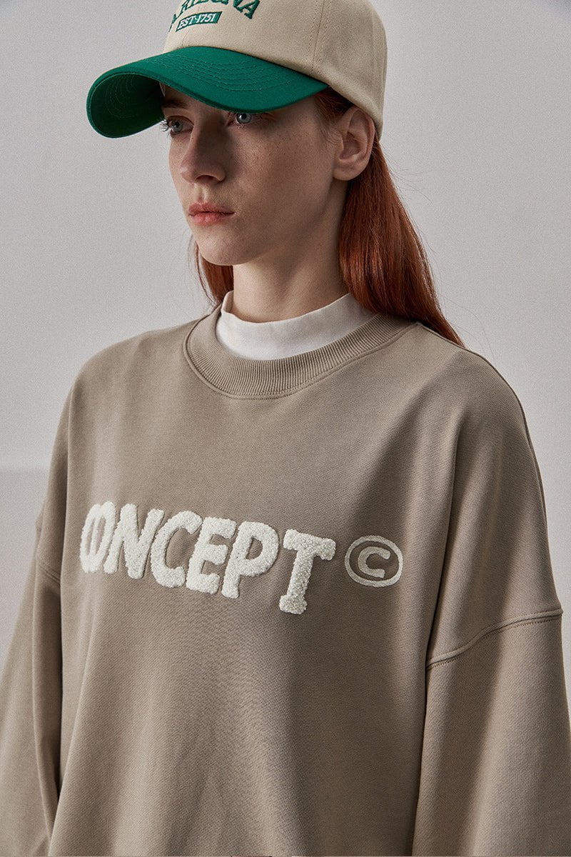 Loose Fit Concept Plush Embroidered Sweatshirt / Olive - Image 10