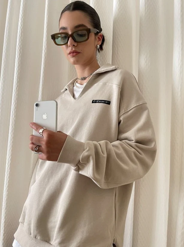 Regular Fit Collared Jumper / Beige