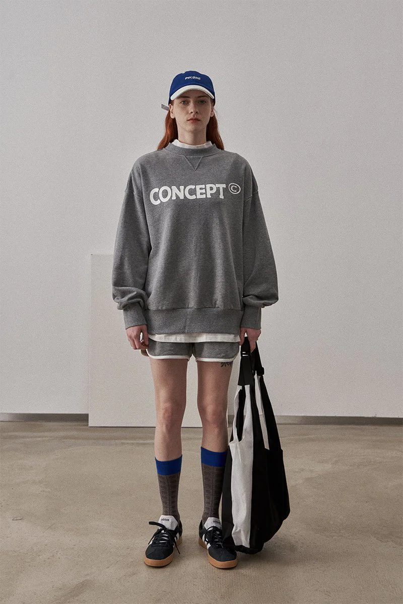 Small Fit Concept Sweatshirt / Dark Gray - Image 3